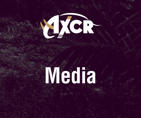 Media